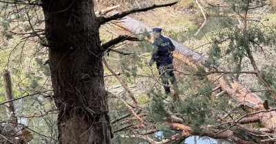 Trwa poszukiwanie Teresy Bielańskiej z Dubiecka