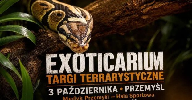 Zapraszamy 3 października 2026 roku do Medyczno-Społeczne Centrum Kształcenia Zawodowego i Ustawicznego, Przemyśl, ul. Waleriana Łukasińskiego 20.